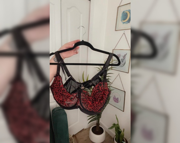 Housewifeswag aka housewifeswag OnlyFans - Bra Try on 1 of 2 Video 312 Which one is your favorite