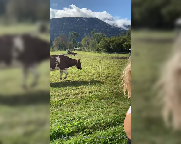 Usavannahjones - THE COWS AND ME swipe right for the video hihi K (07.10.2020)