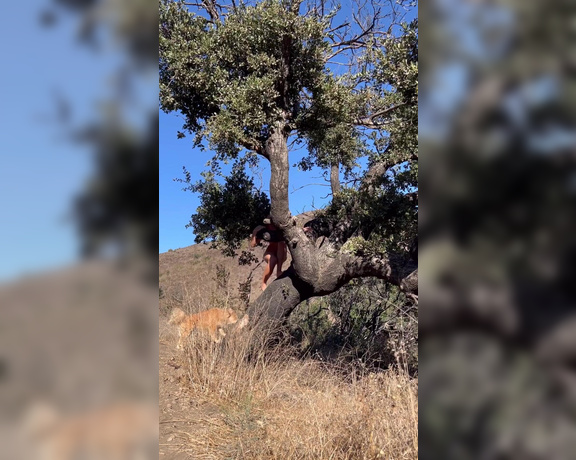 Steph in Space aka stephinspace OnlyFans - Have you ever climbed a tree completely nakeyyy! As soon as I stumbled upon this sturdy beauty