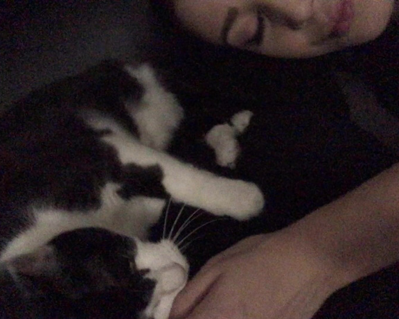 Noelleeaston - Thought I’d share these sweet lil kitty nose boops goodnight world Y6 (08.11.2019)