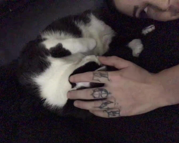 Noelleeaston - Thought I’d share these sweet lil kitty nose boops goodnight world Y6 (08.11.2019)