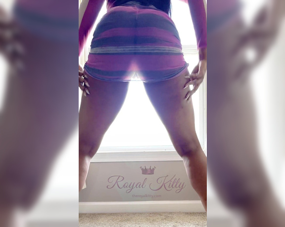 The Royal Kitty aka theroyalkitty OnlyFans - This pussy got power Goddess Pussy