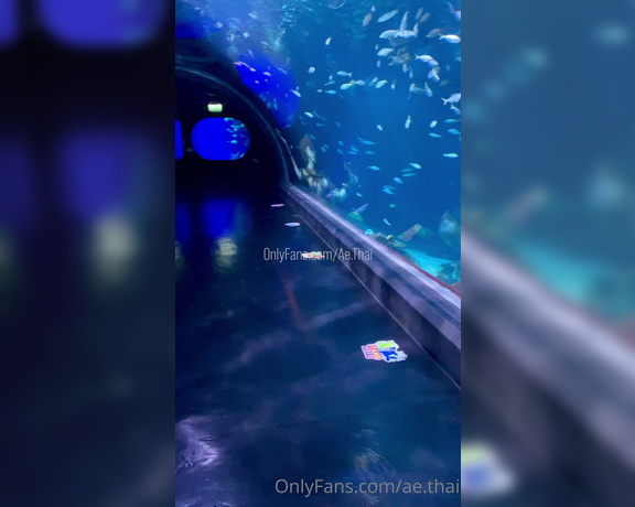 Ae Asia aka aeasia OnlyFans - I love the aquarium!