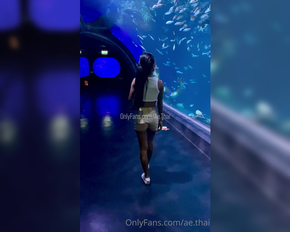 Ae Asia aka aeasia OnlyFans - I love the aquarium!