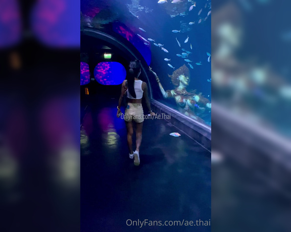 Ae Asia aka aeasia OnlyFans - I love the aquarium!