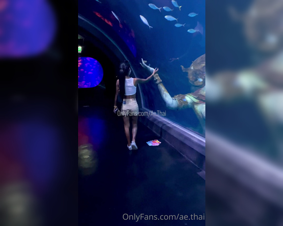 Ae Asia aka aeasia OnlyFans - I love the aquarium!