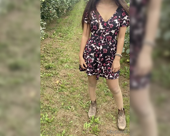 Bbypocah aka bbypocah OnlyFans - At your local apple orchard