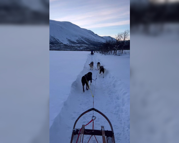 Elisa Dreams aka elisadreams OnlyFans - Second day in Norway Sled dogs in a beautiful landscape I had never done