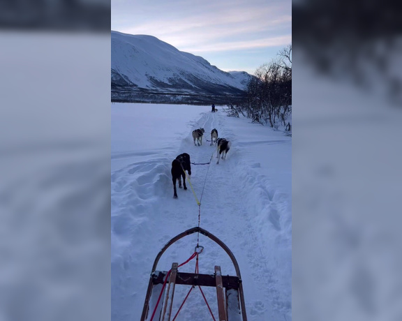 Elisa Dreams aka elisadreams OnlyFans - Second day in Norway Sled dogs in a beautiful landscape I had never done