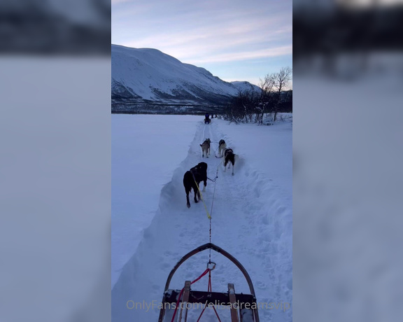 Elisa Dreams aka elisadreamsvip OnlyFans - Second day in Norway Sled dogs in a beautiful landscape I had never done