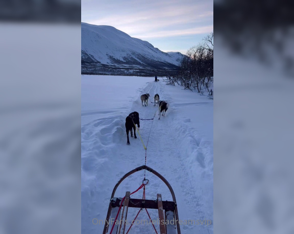 Elisa Dreams aka elisadreamsvip OnlyFans - Second day in Norway Sled dogs in a beautiful landscape I had never done