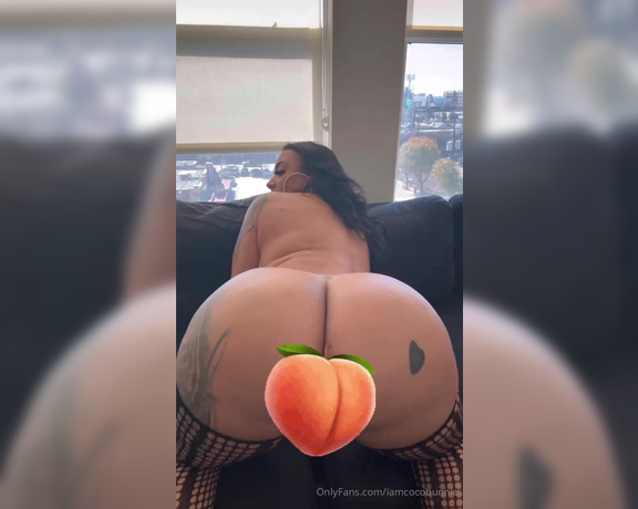 Coco Bunnie aka iamcocobunnie OnlyFans - Big booty, big titties, pretty face, tight pussy… Am I every man’s dream girl Plus