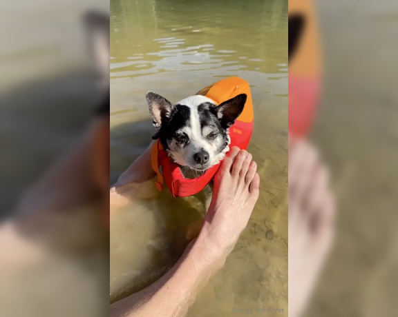 Zoe by the River aka zoebytheriver OnlyFans Video - Throwback to warm weather and lakeside camping _ tits out in the hammock if there werent