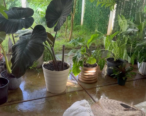 Mila Loves aka milaloves OnlyFans Video - I rest  while I attempt to figure out my plant placement