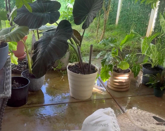 Mila Loves aka milaloves OnlyFans Video - I rest  while I attempt to figure out my plant placement