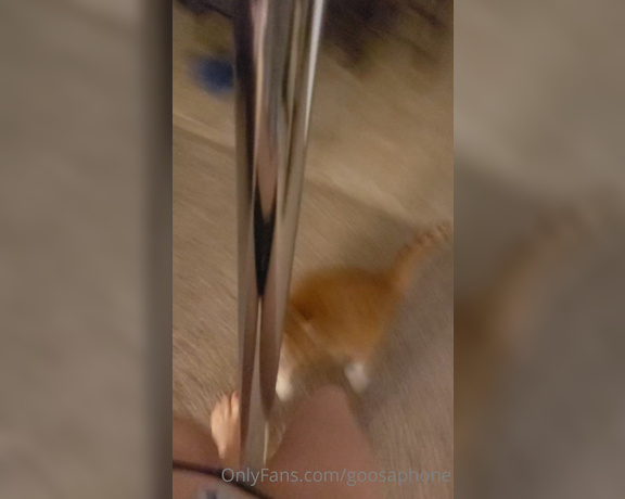 Goosaphone aka goosaphone OnlyFans Video - 07-17-2020 - Trying to pole dance but the kitten would like to play right now