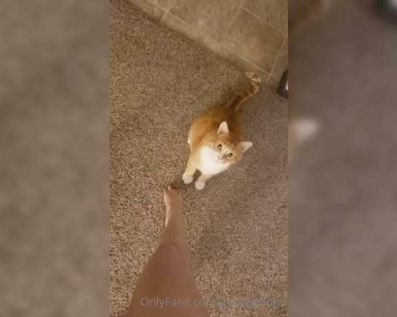 Goosaphone aka goosaphone OnlyFans Video - 07-17-2020 - Trying to pole dance but the kitten would like to play right now