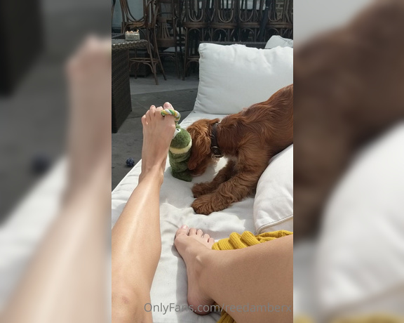 Reed Amber X aka reedamberx OnlyFans Video - 08-24-2020 - Playing footsie with the cute doggo Axl, who then later on sniffed my armpits and tried