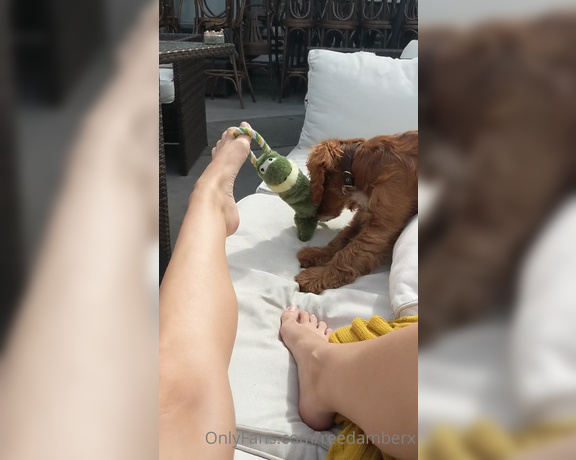 Reed Amber X aka reedamberx OnlyFans Video - 08-24-2020 - Playing footsie with the cute doggo Axl, who then later on sniffed my armpits and tried