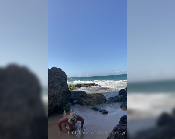 AllisonNYC aka allisonnyc - 10-21-2020 OnlyFans Video - Happy Wiggly Wednesday This little cove is across the street from me