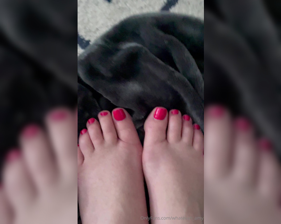 Whatever Amy aka whatevah_amy - 06-22-2024 OnlyFans Video - Should my nails and toes match