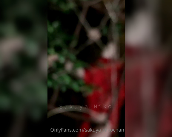 Sakuya Niko aka sakuya_nikochan - 10-25-2021 OnlyFans Video - By posting this video, I was recognized as an obscene person on Instagram and lost my