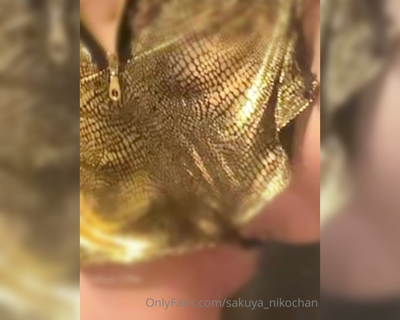 Sakuya Niko aka sakuya_nikochan - 09-25-2022 OnlyFans Video - Sample video 108 I dont know when I put it on, but