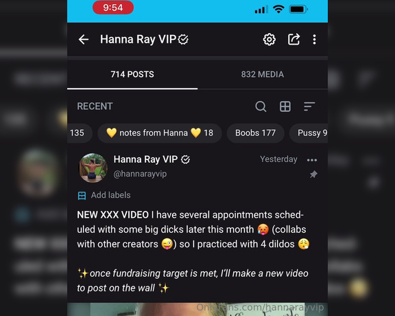 Hanna Ray aka hannarayvip - 09-06-2023 OnlyFans Video - Did you know I have all of my content sorted into labels  The labels