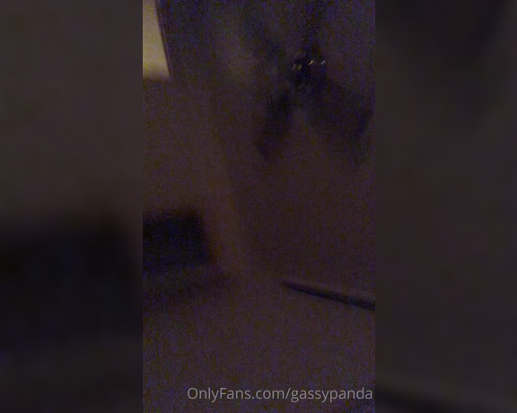 Gassy Panda aka gassypanda - 11-24-2021 OnlyFans Video - Good Morning