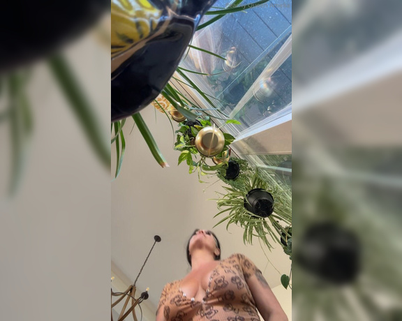 Peachy Queen Amelia aka peachyqueenamelia - 07-03-2024 OnlyFans Video - Entertaining my house plants to make them grow