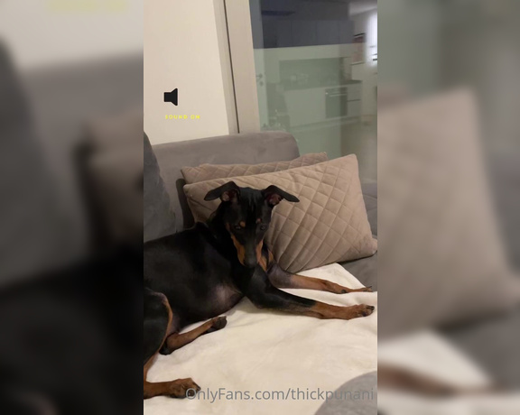 Coco Rains aka cocorains - 01-31-2022 OnlyFans Video - SOUND ON Me watching my own deepthroat porn while my dog is totally confused  why