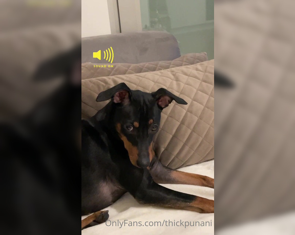 Coco Rains aka cocorains - 01-31-2022 OnlyFans Video - SOUND ON Me watching my own deepthroat porn while my dog is totally confused  why