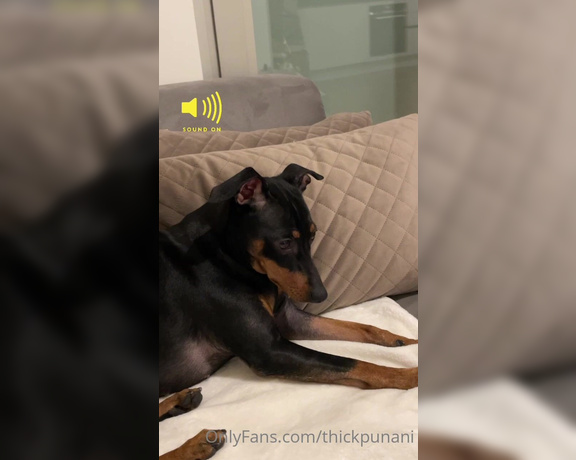 Coco Rains aka cocorains - 01-31-2022 OnlyFans Video - SOUND ON Me watching my own deepthroat porn while my dog is totally confused  why