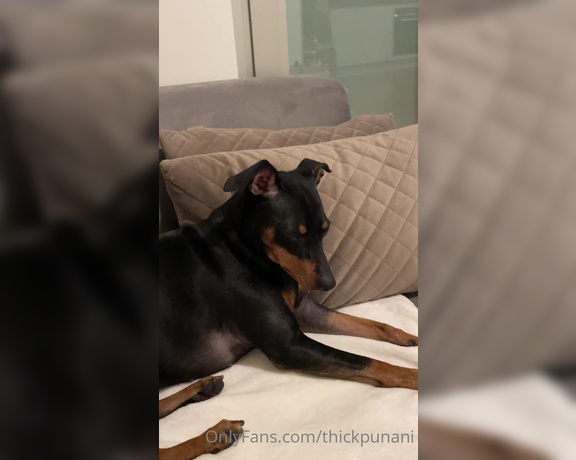 Coco Rains aka cocorains - 01-31-2022 OnlyFans Video - SOUND ON Me watching my own deepthroat porn while my dog is totally confused  why