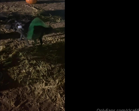 Christy Love aka clca69 - 11-05-2020 OnlyFans Video - Pumpkin patch on Halloween