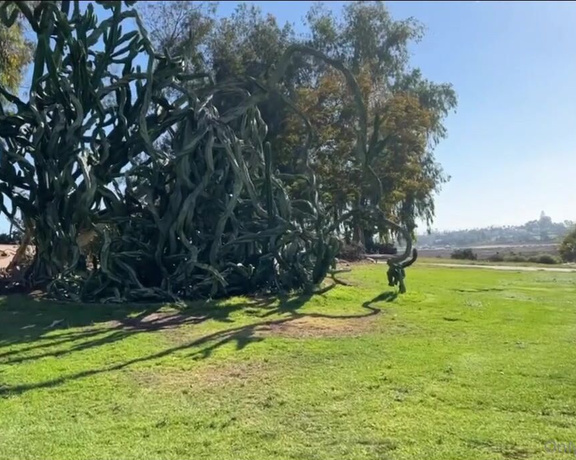 Christy Love aka clca69 - 08-21-2022 OnlyFans Video - Sunday exploration day with Tofu at balboa park We saw cactus gardens, rose gardens and the