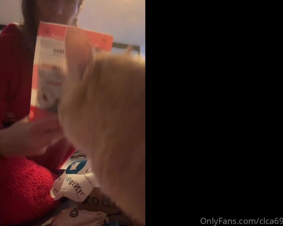 Christy Love aka clca69 - 12-17-2022 OnlyFans Video - Kitnipbox time for the cats I love these December toys for them