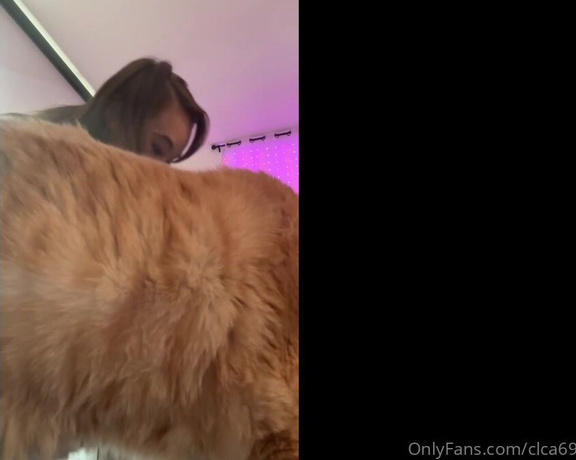 Christy Love aka clca69 - 02-15-2023 OnlyFans Video - Swissy and Kiki got their cat nip box They are so happy It always brings me