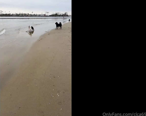 Christy Love aka clca69 - 04-30-2023 OnlyFans Video - Dog beach day with tofu and bagel _ lunch afterwards