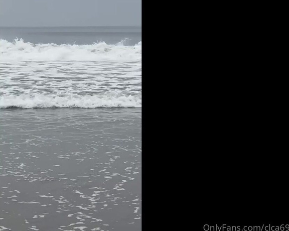 Christy Love aka clca69 - 05-14-2023 OnlyFans Video - Dog beach with tofu and saw dolphins in the ocean