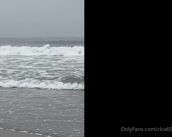 Christy Love aka clca69 - 05-14-2023 OnlyFans Video - Dog beach with tofu and saw dolphins in the ocean