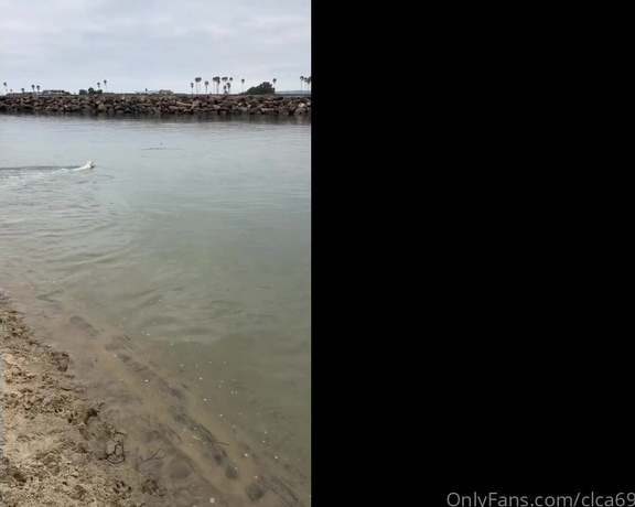 Christy Love aka clca69 - 12-03-2023 OnlyFans Video - Love the new surprises at the beach  Hanging out with tofu at the dog beach