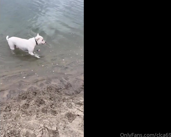 Christy Love aka clca69 - 12-03-2023 OnlyFans Video - Love the new surprises at the beach  Hanging out with tofu at the dog beach