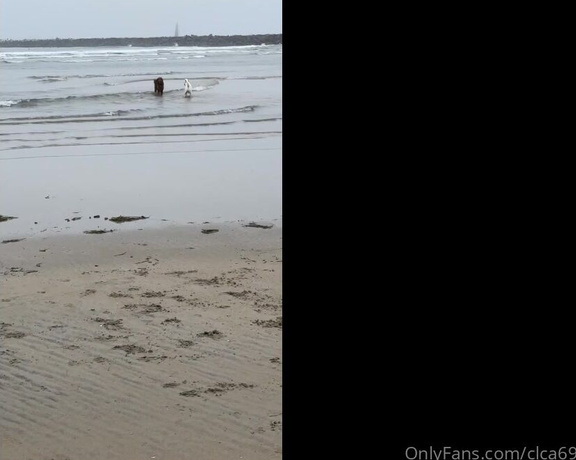 Christy Love aka clca69 - 10-15-2023 OnlyFans Video - Beach day with tofu