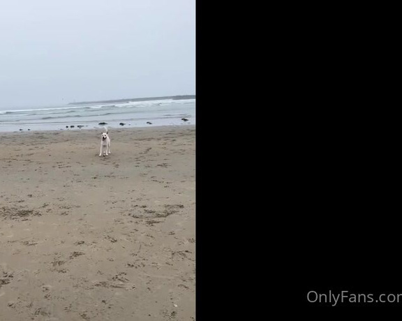 Christy Love aka clca69 - 10-15-2023 OnlyFans Video - Beach day with tofu