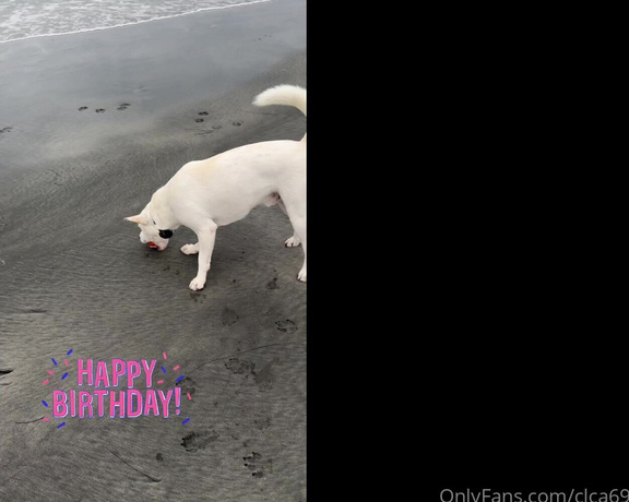 Christy Love aka clca69 - 12-17-2023 OnlyFans Video - Tofu turned 2 on October 25th Watch what we did for his birthday