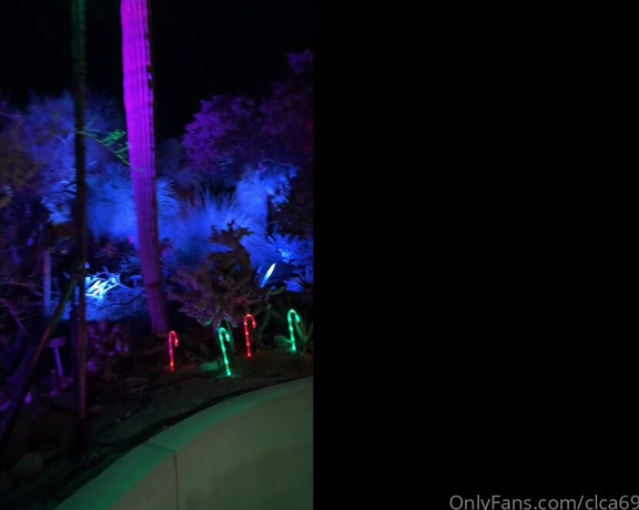 Christy Love aka clca69 - 12-31-2023 OnlyFans Video - Went to the light show at the botanical gardens  It was so beautiful Def a