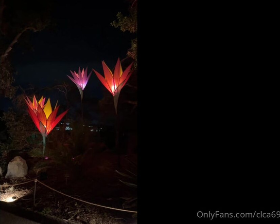 Christy Love aka clca69 - 12-31-2023 OnlyFans Video - Went to the light show at the botanical gardens  It was so beautiful Def a