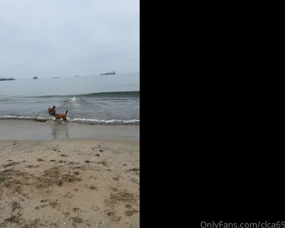 Christy Love aka clca69 - 08-18-2024 OnlyFans Video - Went to Rosies Dog beach in Long Beach