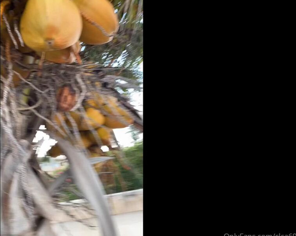 Christy Love aka clca69 - 09-30-2019 OnlyFans Video - Coconut journey in Cancun with friends